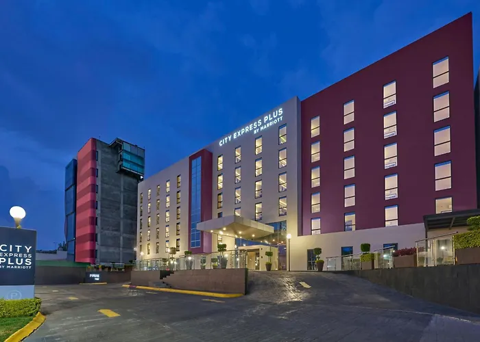 Pets Allowed Hotel City Express Plus By Marriott Ciudad De Mexico Periferico Sur Tlalpan